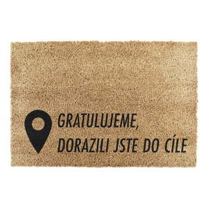 Rohožka z kokosového vlákna 40x60 cm Pin – Artsy Doormats vyobraziť