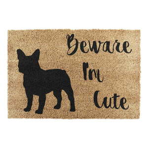 Rohožka z kokosového vlákna 40x60 cm Beware I'm Cute French Bulldog – Artsy Doormats vyobraziť