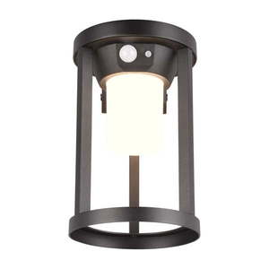 LED vonkajšie svietidlo so senzorom pohybu (výška 21 cm) Carmo – Trio vyobraziť