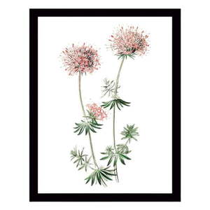 Nástenný obraz na plátne v čiernom ráme Tablo Center Natura, 29 × 24 cm vyobraziť