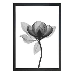 Obraz 24x29 cm Harmony Flower – Vavien Artwork vyobraziť
