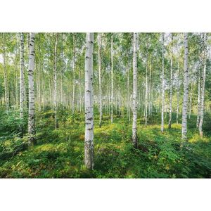 Komar FOTOTAPETA velikost: 368/254 cm vyobraziť