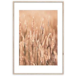 Artbox Digi 50x70 Ab079 Grasses II vyobraziť