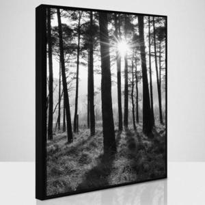Obraz SB50x70.087L18.37.001 vyobraziť