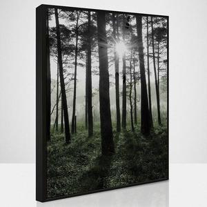 Obraz SB50x70.093L18.37.001 vyobraziť