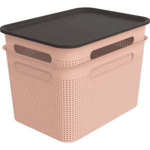 Svetloružové plastové úložné boxy s vekom v súprave 2 ks 26, 5x36, 5x26 cm Brisen – Rotho vyobraziť