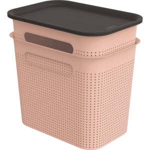 Svetloružové plastové úložné boxy s vekom v súprave 2 ks 18, 5x27x26 cm Brisen – Rotho vyobraziť