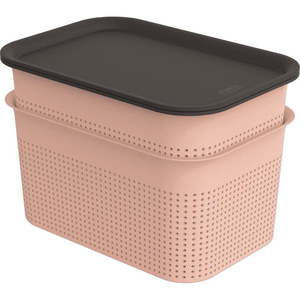 Svetloružové plastové úložné boxy s vekom v súprave 2 ks 18, 5x26, 5x18 cm Brisen – Rotho vyobraziť