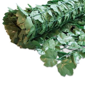 CLONA – ŽIVÝ PLOT 300/150 cm vyobraziť