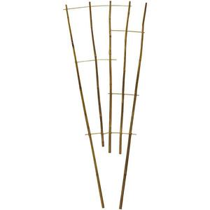 Bambusový rebrík FZ150N H150 W18-60CM vyobraziť