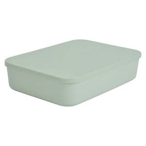 Svetlozelený plastový úložný box s vekom 35, 5x25, 5x8 cm – Homéa vyobraziť