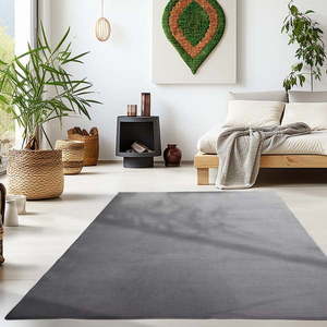 Sivý prateľný koberec 160x230 cm Sky – Ayyildiz Carpets vyobraziť