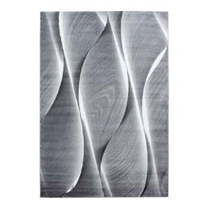 Tmavosivý koberec 120x170 cm Parma – Ayyildiz Carpets vyobraziť