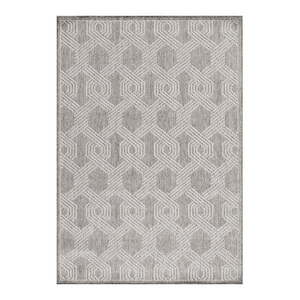 Sivý vonkajší behúň 80x250 cm Aruba – Ayyildiz Carpets vyobraziť