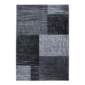 Sivý koberec 160x230 cm Plus – Ayyildiz Carpets vyobraziť