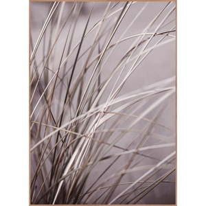 Obraz 50x70 cm Mellow Grasses 1 – Malerifabrikken vyobraziť