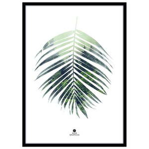 Obraz 50x70 cm Palm Leaf – Malerifabrikken vyobraziť