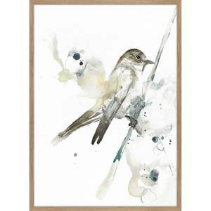 Obraz 50x70 cm Bird 2 – Malerifabrikken vyobraziť