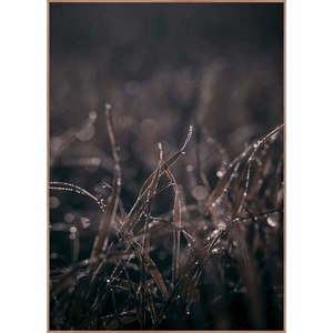 Obraz 50x70 cm Mellow Grasses 5 – Malerifabrikken vyobraziť