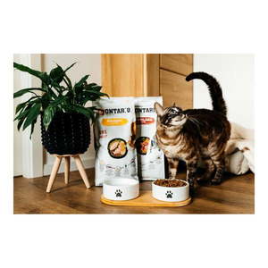 Keramická súprava misiek s podstavcom pre psa ø 13 cm Dog Fantasy – Plaček Pet Products vyobraziť