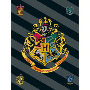 Fleecová detská deka 100x150 cm Harry Potter – Jerry Fabrics vyobraziť