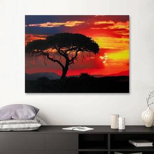 Obraz na plátne 90x120 Savannah pri západe slnka vyobraziť