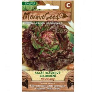 Šalát hlávkový celoročný Rosemarry, červený vyobraziť
