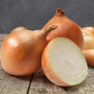 Cupido Cibuľa sadzačka, jarná žltá 250G 8-21MM vyobraziť