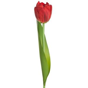 ArtFir Umelý tulipán NATU 475 | červená 37 cm vyobraziť