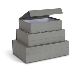 Sivé kartónové úložné boxy v súprave 3 ks s vekom/dekoratívne 42, 5x29, 5x13 cm Kian Paper Laminate – Bigso vyobraziť