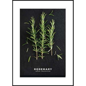 Obraz 50x70 cm Rosemary – Styler vyobraziť