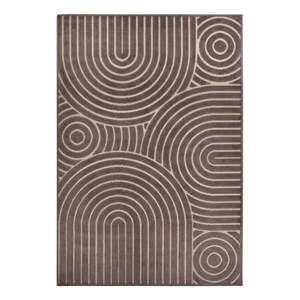 Hnedý koberec 160x235 cm Iconic Wave – Hanse Home vyobraziť
