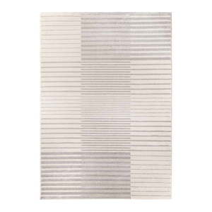 Svetlosivý koberec 140x200 cm Optica – Bonami Selection vyobraziť