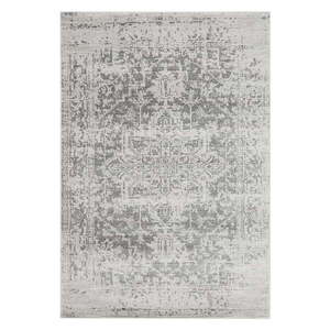 Sivý koberec 160x230 cm Nova – Asiatic Carpets vyobraziť