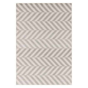 Svetlosivý koberec 80x150 cm Muse – Asiatic Carpets vyobraziť