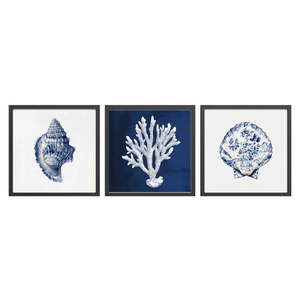 Obraz 30x30 cm Sea Treasure – Styler vyobraziť
