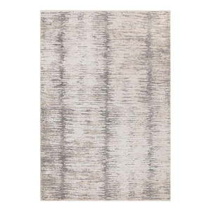 Koberec 200x300 cm Anders Grey – Asiatic Carpets vyobraziť