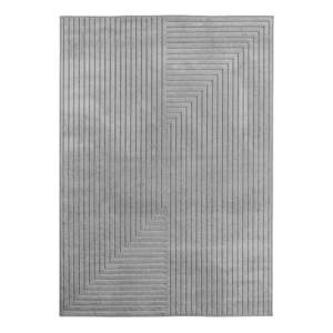 Sivý vnútorný a vonkajší koberec 120x170 cm Nova 1202 – Ayyildiz Carpets vyobraziť