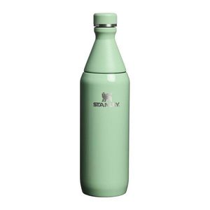 Šalviová zelená termofľaša z nehrdzavejúcej ocele 600 ml All Day Slim Bottle Pistachio Gloss – Stanley vyobraziť