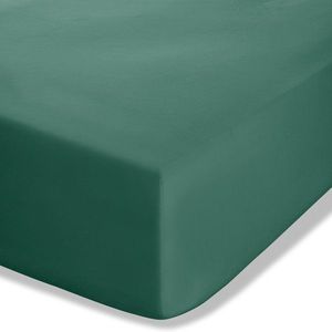 Tmavozelená napínacia perkálová plachta 90x190 cm Easy Iron Percale – Catherine Lansfield vyobraziť