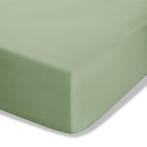 Zelená napínacia perkálová plachta 90x190 cm Easy Iron Percale – Catherine Lansfield vyobraziť
