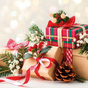 Obrúsky v súprave 20 ks 33x33 cm Noel – Homéa vyobraziť