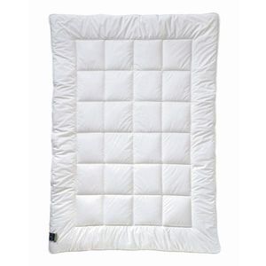 Billerbeck CELOROČNÁ PRIKRÝVKA, 135/200 cm, polyester vyobraziť