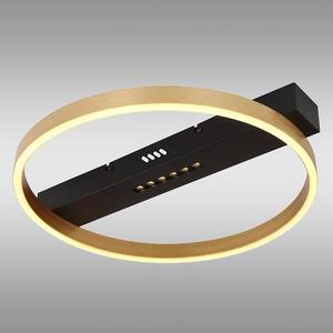 Stropné svietidlo Luffy 48461-21R LED LS1 vyobraziť