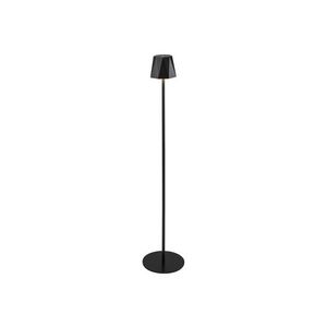 LIVARNO home Aku LED stojacia lampa (antracitová) vyobraziť