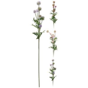 Púpava 89 cm 3 zadok vyobraziť