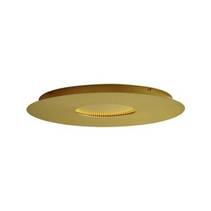 Moderné stropné svietidlo zlaté 60 cm vrátane LED s 3-stupňovým stmievaním - Morning vyobraziť