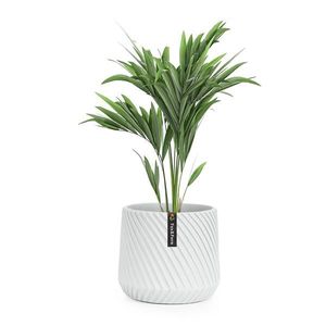 Fox & Fern Heusden, kvetináč, Polystone, vhodný pre rastliny, ručná výroba vyobraziť