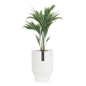 Fox & Fern Almere Kvetináč Polystone Ideálny pre rastliny, ručne vyrobený, okrúhly vyobraziť