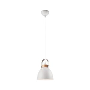 Luster na lane DANIELLE 1xE27/60W/230V LM 1.80 vyobraziť
